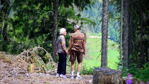 old couple standing in the forest